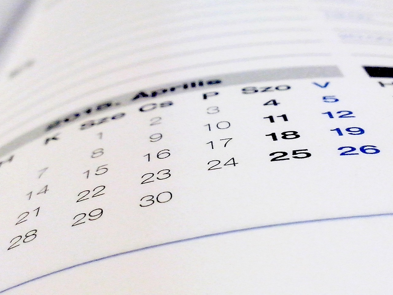 8 semanas são quantos dias? Converta rapidamente e entenda