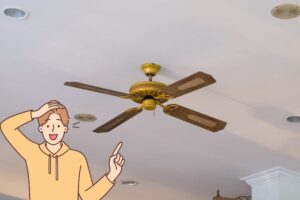 Leia mais sobre o artigo Como Limpar Ventilador com Saco de Lixo