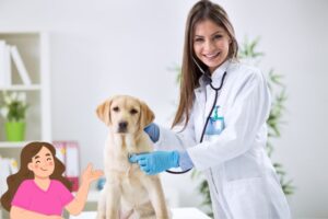 Leia mais sobre o artigo 20 Ideias de Presentes para Veterinária