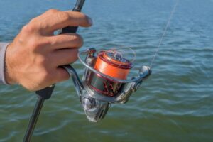 Leia mais sobre o artigo Tipos de Linhas de Pesca: Qual a Melhor Para Cada Estilo de Pesca?